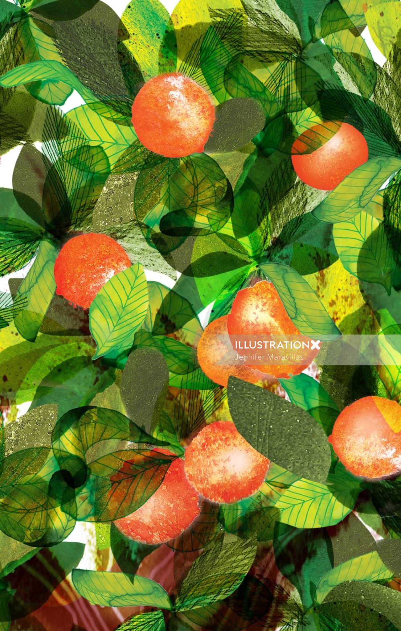 Pomegranate tree illustration by Jennifer Maravillas