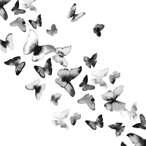 watercolor art of multiple butterflies