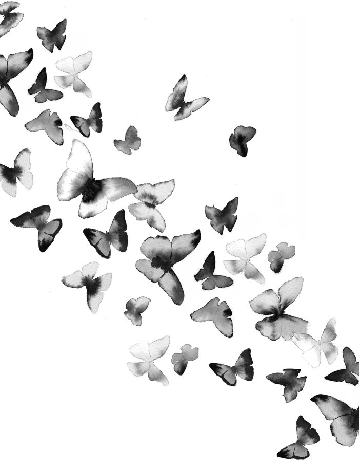 arte em aquarela de várias borboletas