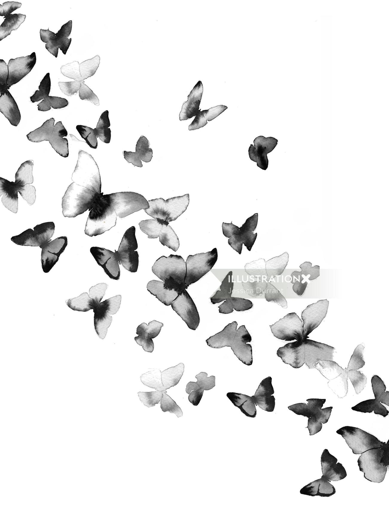 watercolor art of multiple butterflies
