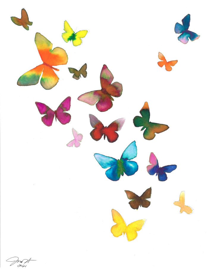 Nature Beautiful butterflies