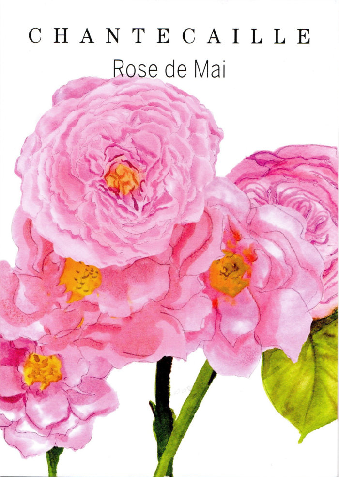 Brochure Rose de Mai