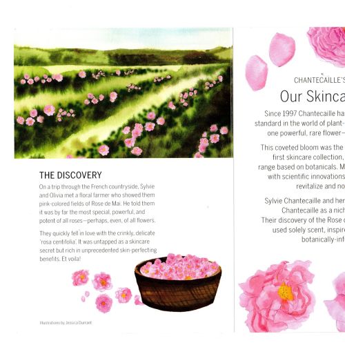 Rose de Mai Brochure