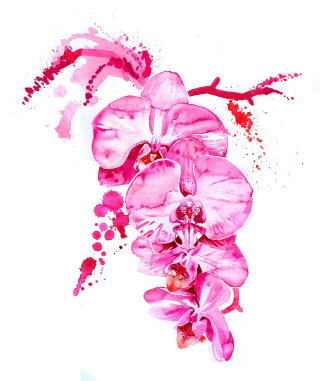 ピンクの花の水彩画