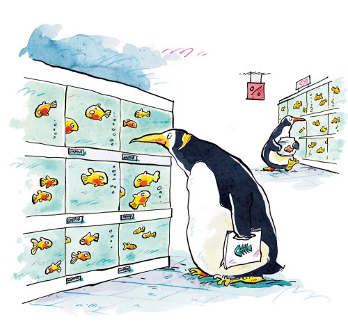 Penguins in fish shop

