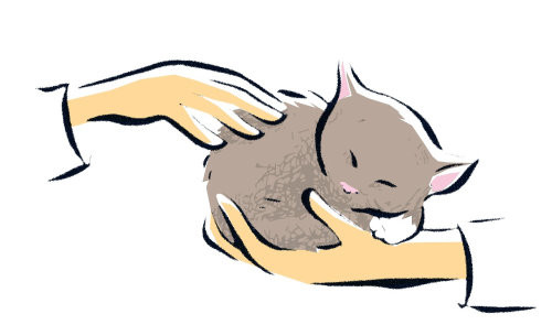 睡觉的猫的素描插图