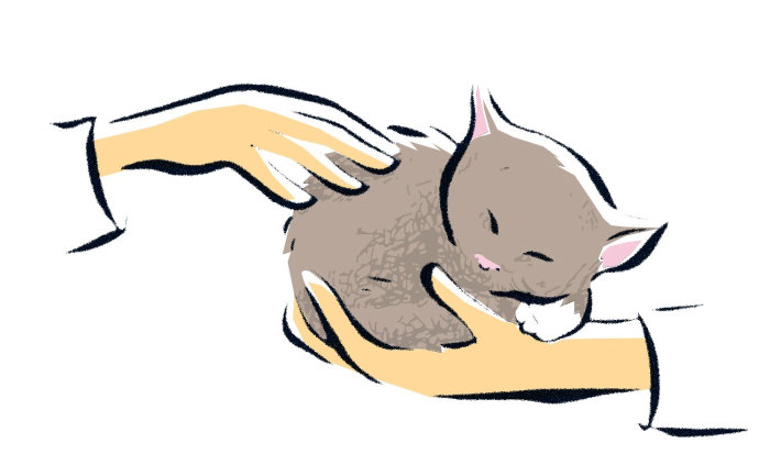 desenho de ilustração de gato dormindo