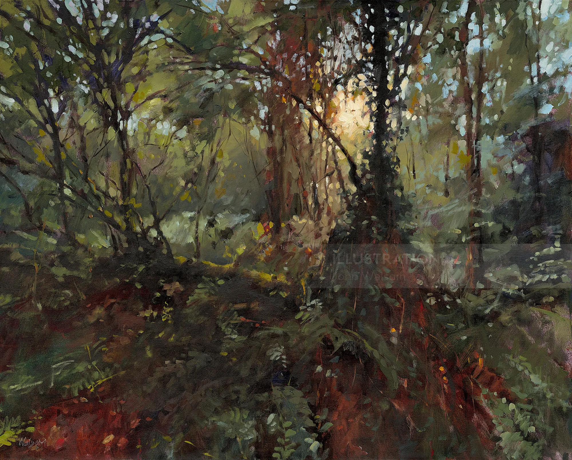 Realistic painting of mysterious woodlands