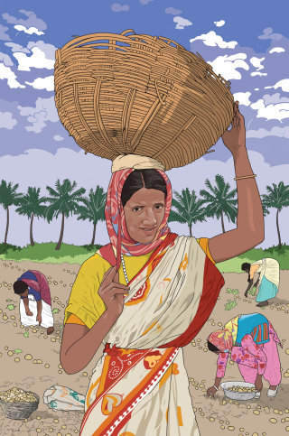 畑で働くインド人女性の服装
