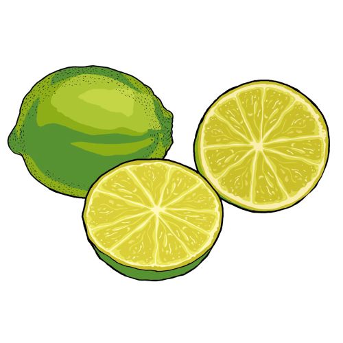 Lemon, Sliced pieces, Fruit
