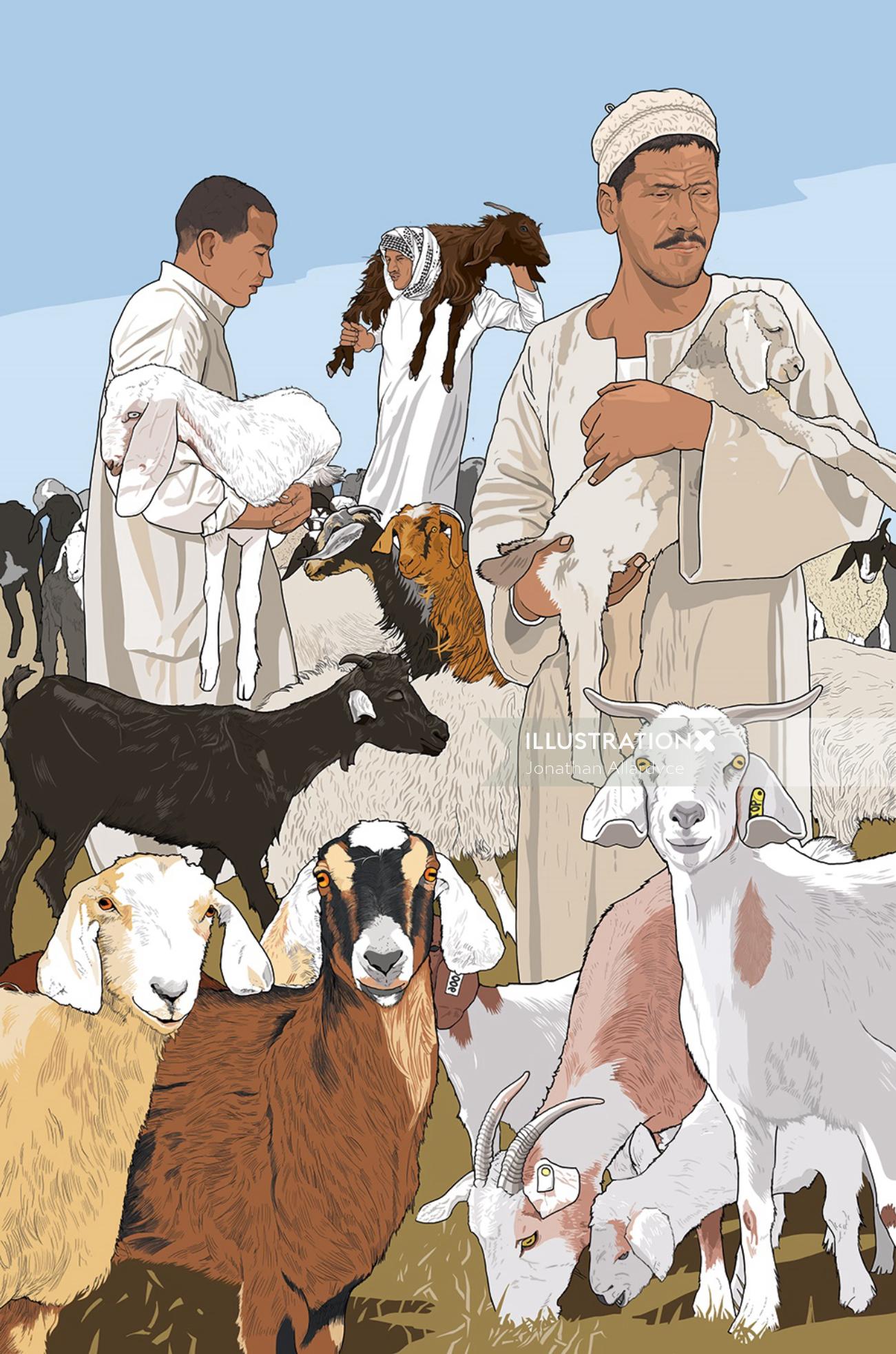 Lamb, Sheep market illustration