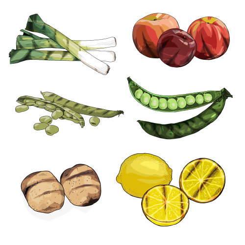 Ilustración de frutas y verduras por Jonathan Allardyce