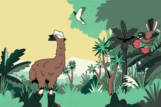 Animaux de dessin animé et d&#39;humour en forêt
