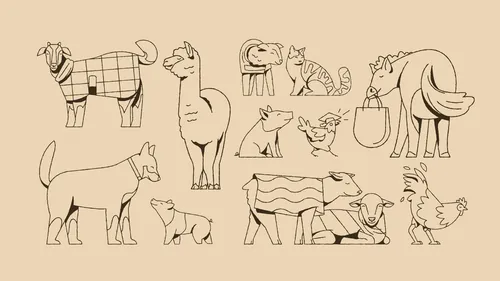 Line art of various farm animals by Joseph Carrington