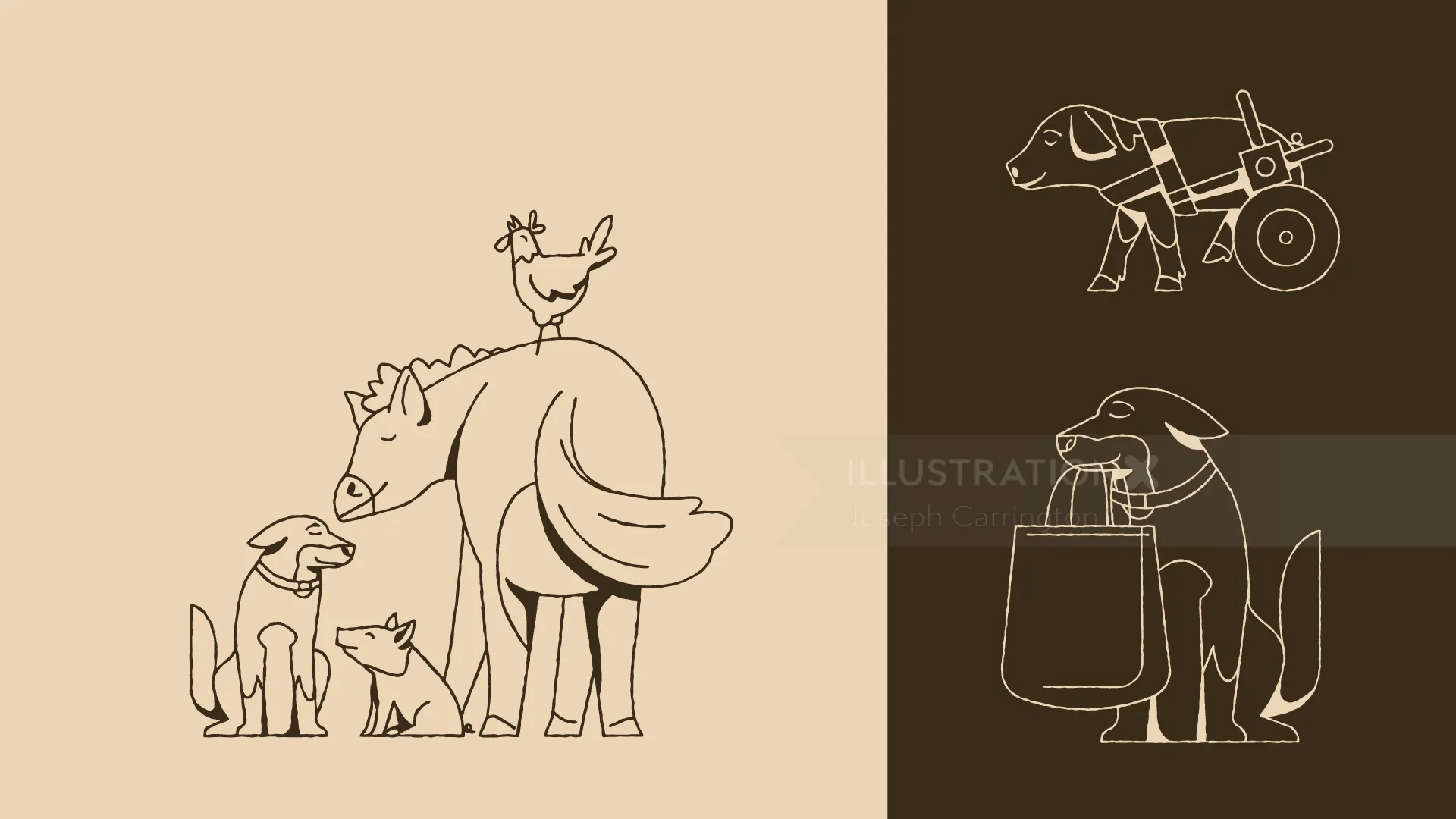 Minimalist line art of dog, cat, bird, and horse by Joseph Carrington