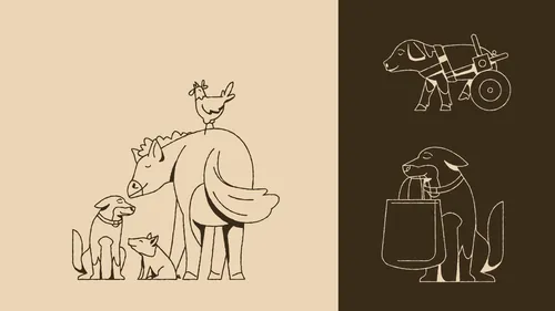 Minimalist line art of dog, cat, bird, and horse by Joseph Carrington