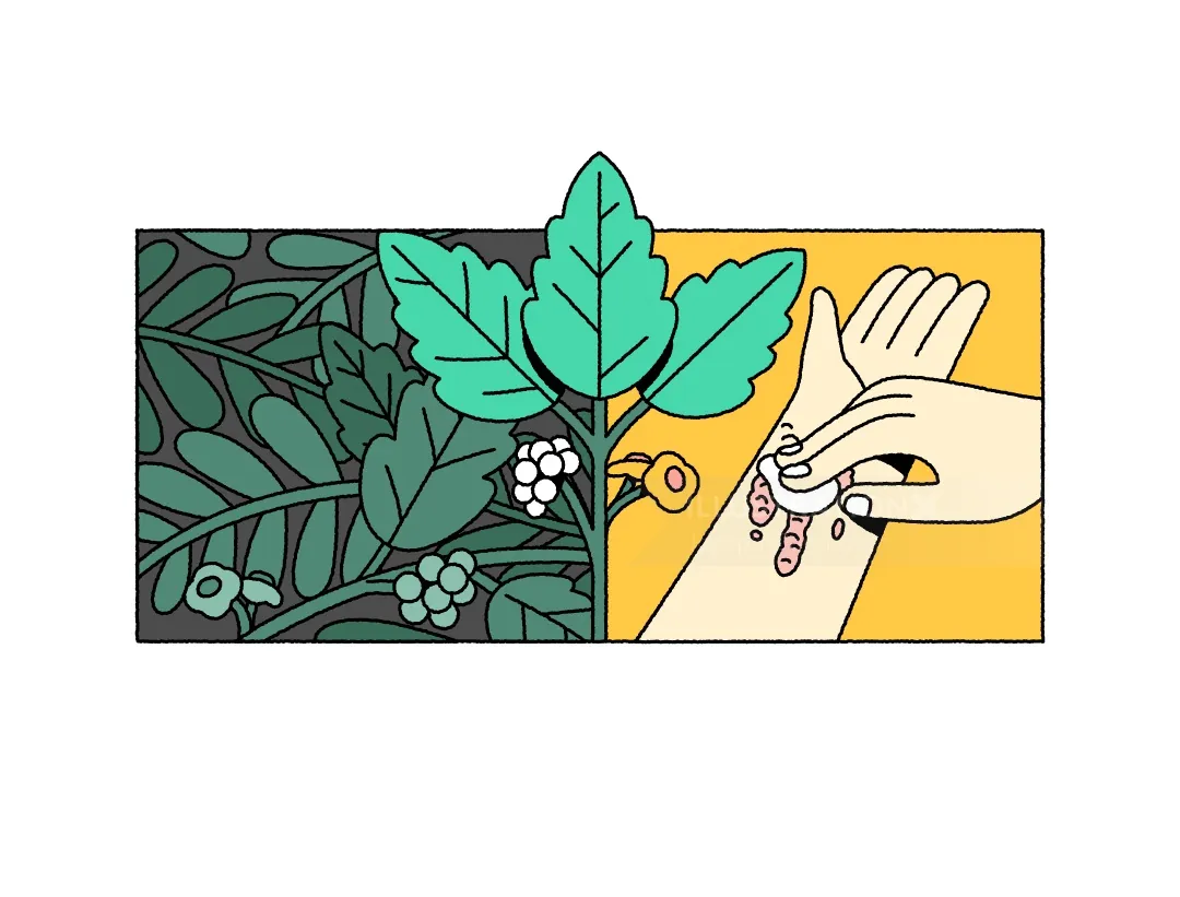 Joseph Carrington Illustration von grünem Laub und einer Hand, die zarten Schmuck hält.