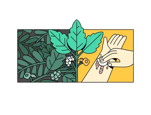 Joseph Carrington illustration of green foliage and a hand holding delicate jewelry.
