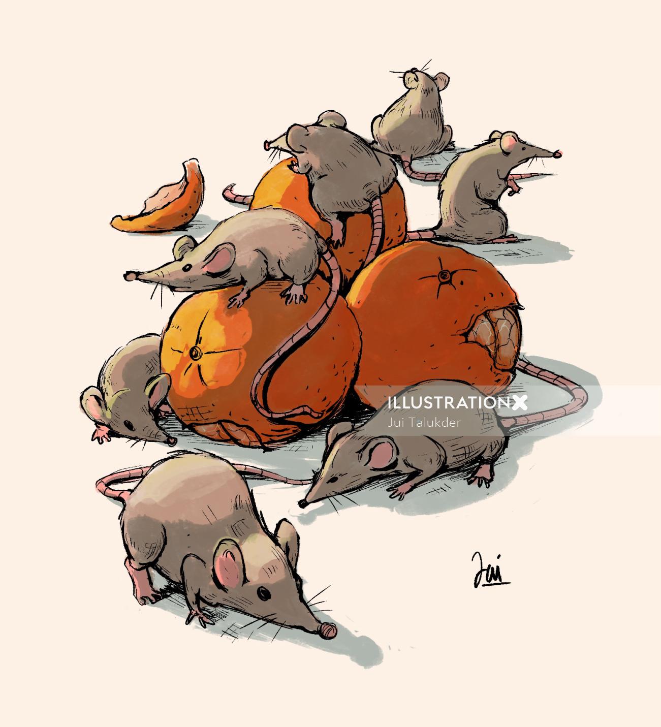 Animal Rat graphic design