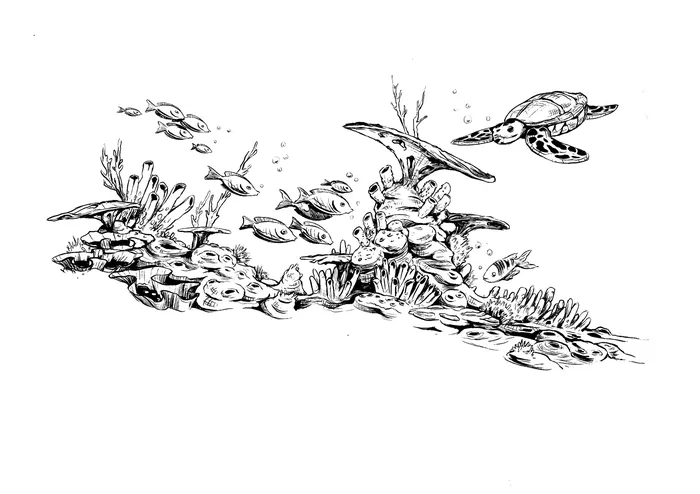 Black and white illustration of Sea life