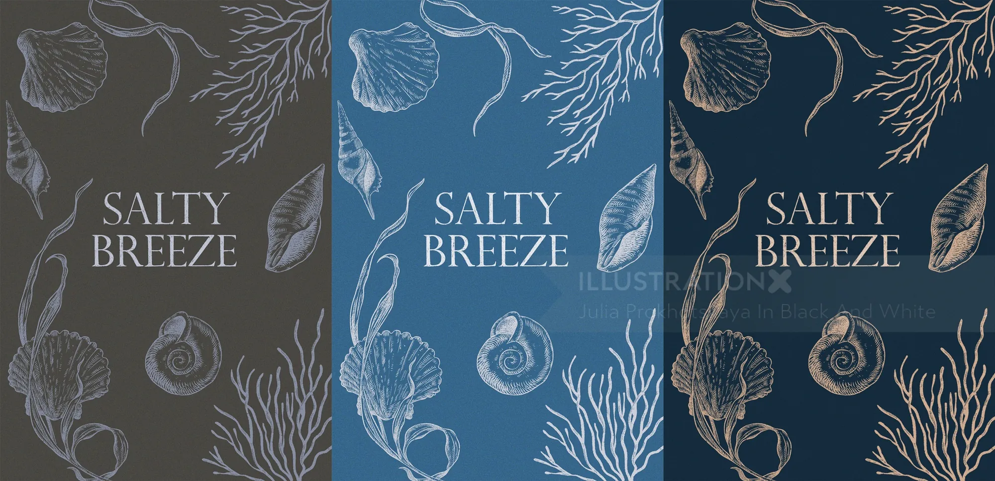 Three Salty Breeze covers featuring shells and seaweed art
