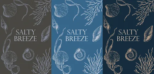 Three Salty Breeze covers featuring shells and seaweed art