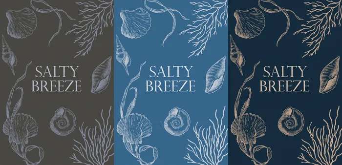 Three Salty Breeze covers featuring shells and seaweed art
