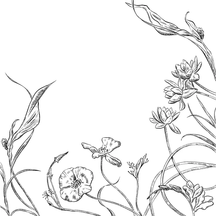 Line art of wildflowers and grasses in black and white