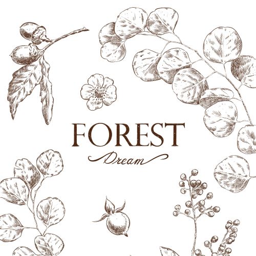 Botanical line drawings with forest plants and berries, text Forest Dream, by Julia Prokhotskaya