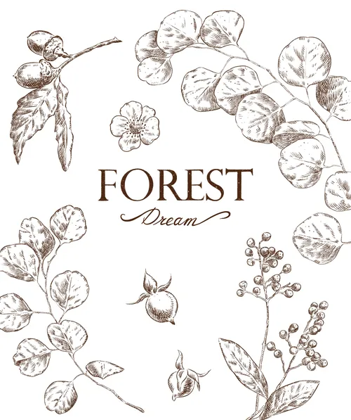 Botanical line drawings with forest plants and berries, text Forest Dream, by Julia Prokhotskaya
