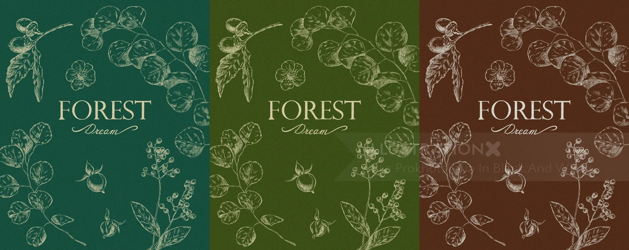 Three botanical covers titled Forest Dream in green, olive, and brown by Julia Prokhotskaya