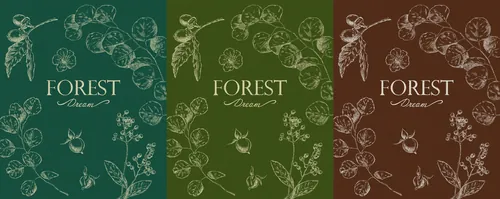 Three botanical covers titled Forest Dream in green, olive, and brown by Julia Prokhotskaya