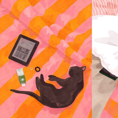 Sleeping person covered with a striped blanket and black cat lying on bed