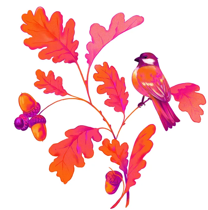 Bird sitting on bright orange and pink oak leaves with acorns illustration