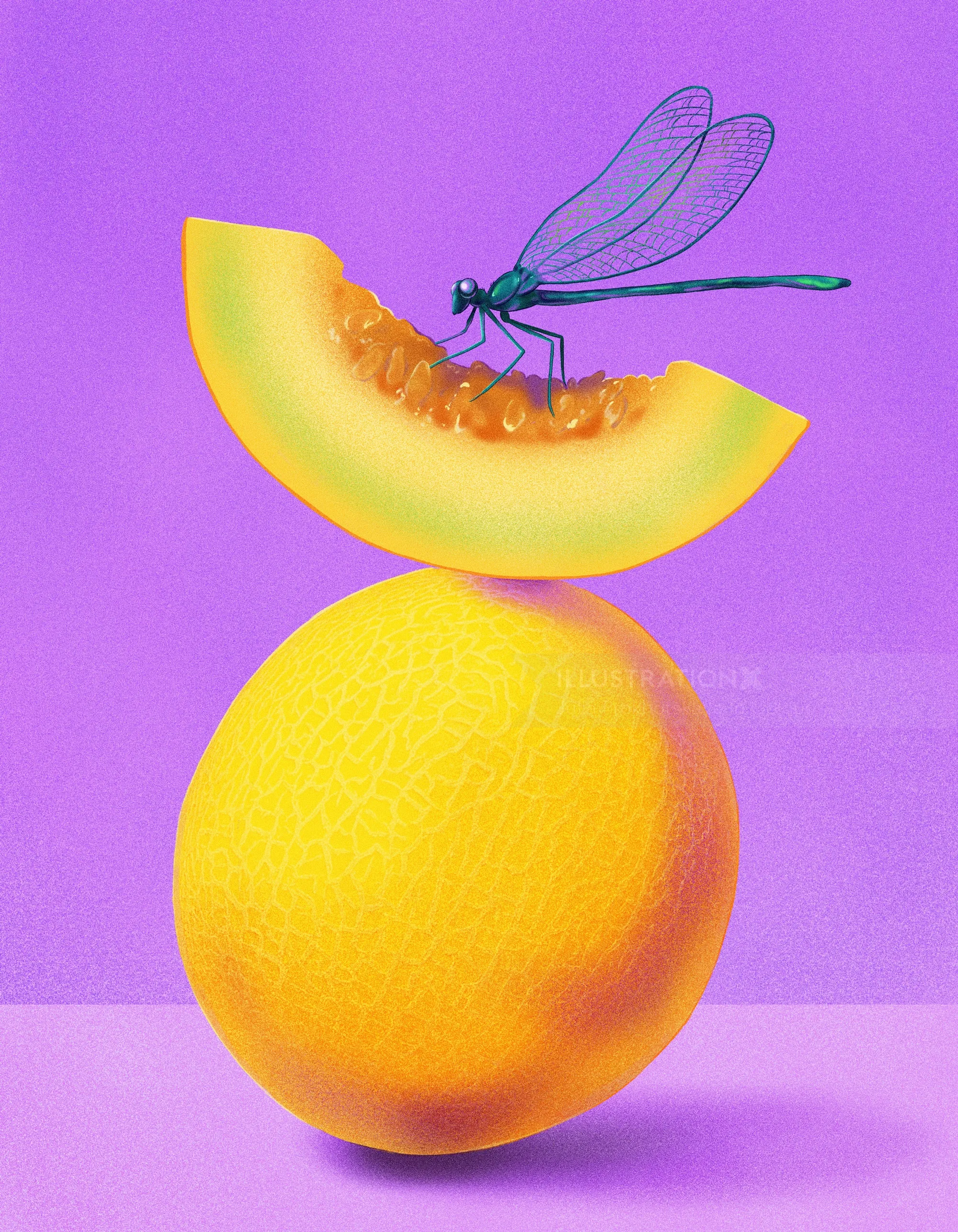 Green dragonfly sitting on cantaloupe slice above yellow melon by Julia Prokhotskaya