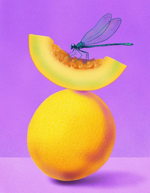 Green dragonfly sitting on cantaloupe slice above yellow melon by Julia Prokhotskaya