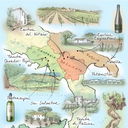 Italy, wine, vineyards, Sicily, grapevines