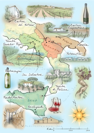 イタリア、ワイン、ブドウ園、シチリア島、ブドウの木