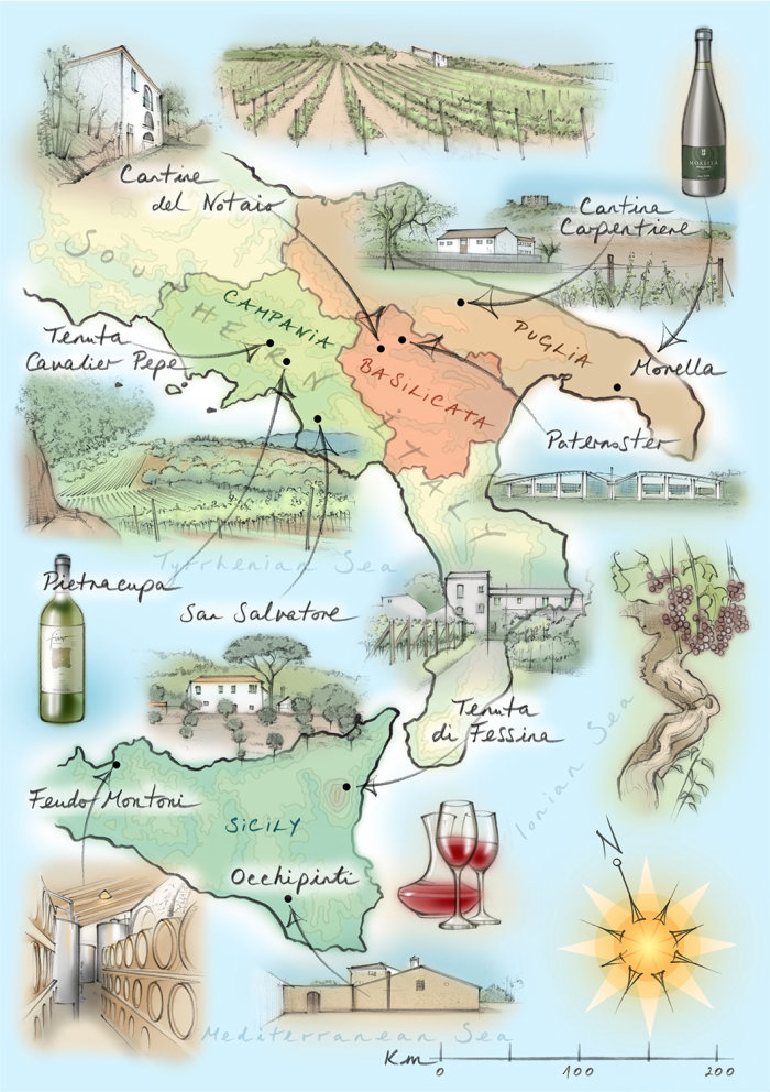 Italie, vin, vignobles, Sicile, vignes