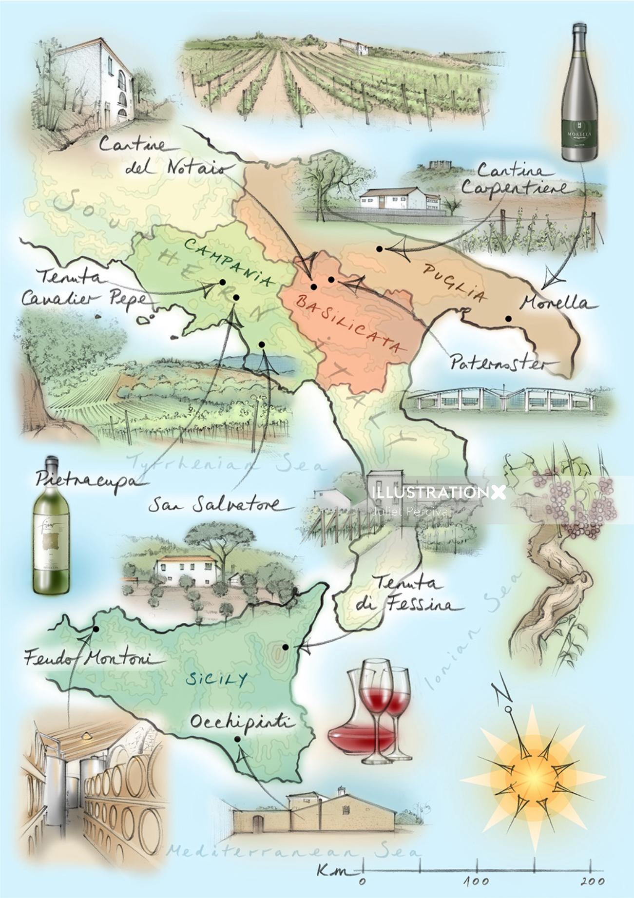 イタリア、ワイン、ブドウ園、シチリア島、ブドウの木