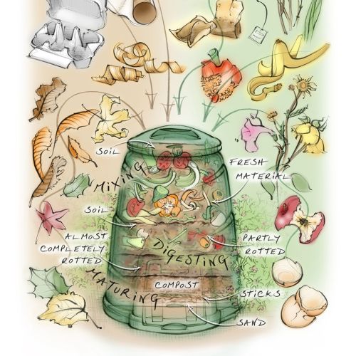 Illustration for an editorial on how to make your own compost