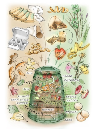 Ilustração para um editorial sobre como fazer sua própria compostagem