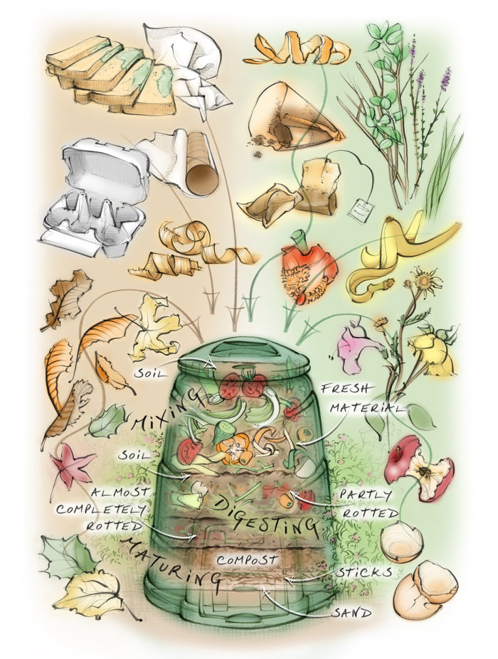 Illustration for an editorial on how to make your own compost