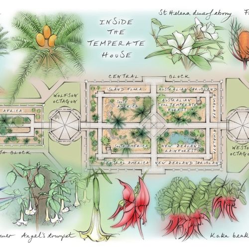 Infographic article about the re-opening of the Temperate House