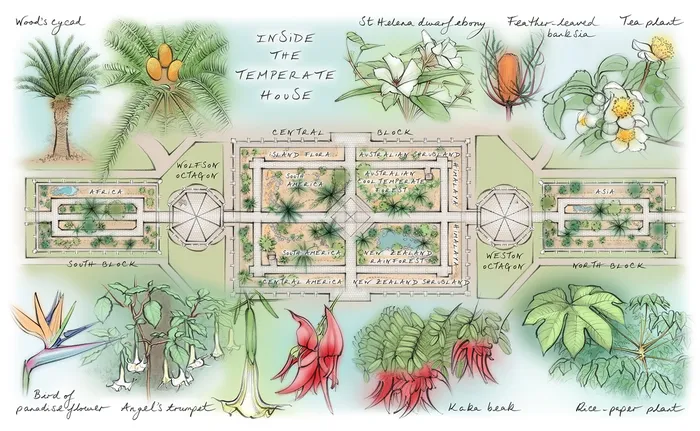 Infographic article about the re-opening of the Temperate House