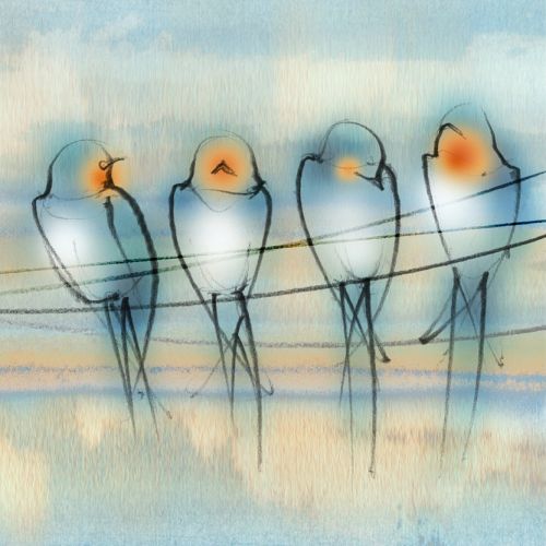 swallows, birds, migration, magazine cover, editorial