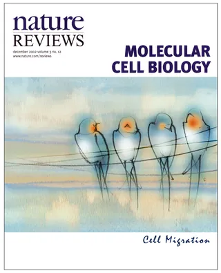 swallows, birds, migration, magazine cover, editorial