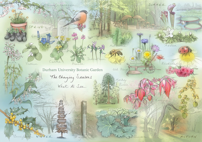 Illustration de la carte du 50e anniversaire des jardins botaniques de l&#39;Université de Durham
