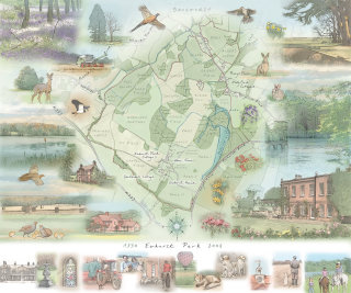Mapa e ilustraciones de los alrededores de Ewhurst Park Estate