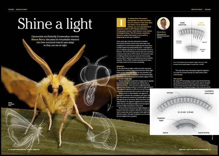 Close-up of moth on leaf with scientific diagrams showing eye adaptation
